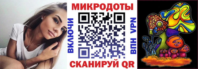 Псилоцибиновые грибы Psilocybe  Купить  Алексин 